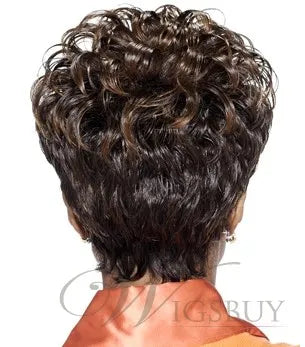 Natural African American Hairstyle Short Curly Wig